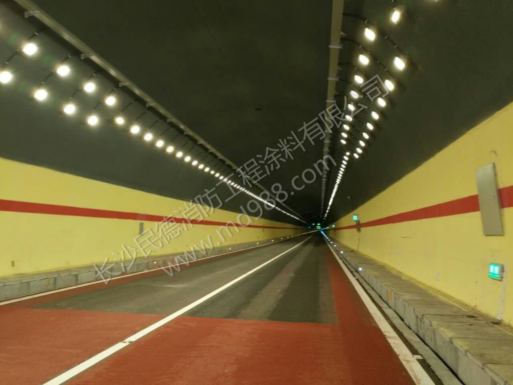 青海牙同高速隧道1