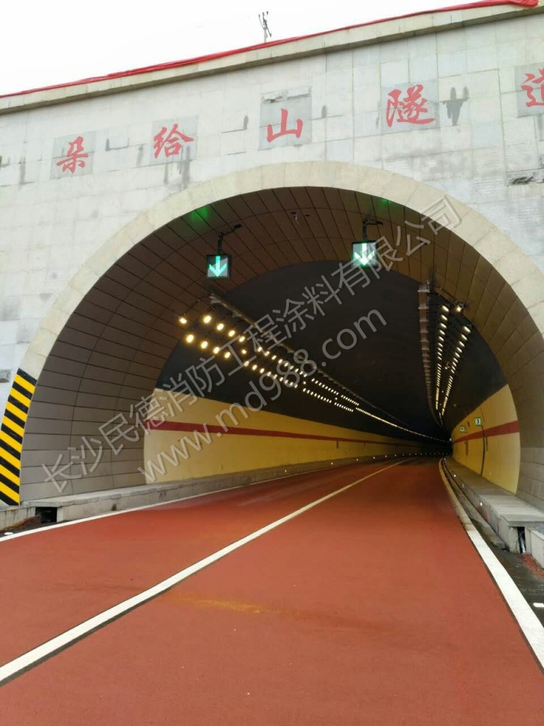青海牙同高速隧道2
